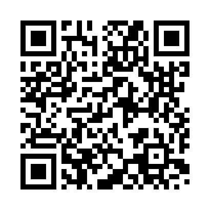 QR Code 00049